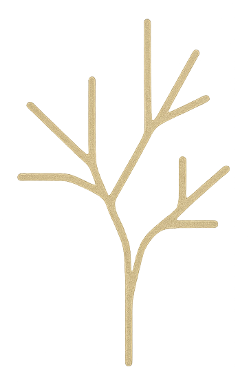 Sophon Ventures tree logo